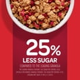 thumbnail image 3 of Kellogg's Special K Red Berries Granola Bag, 11 oz, 3 of 14