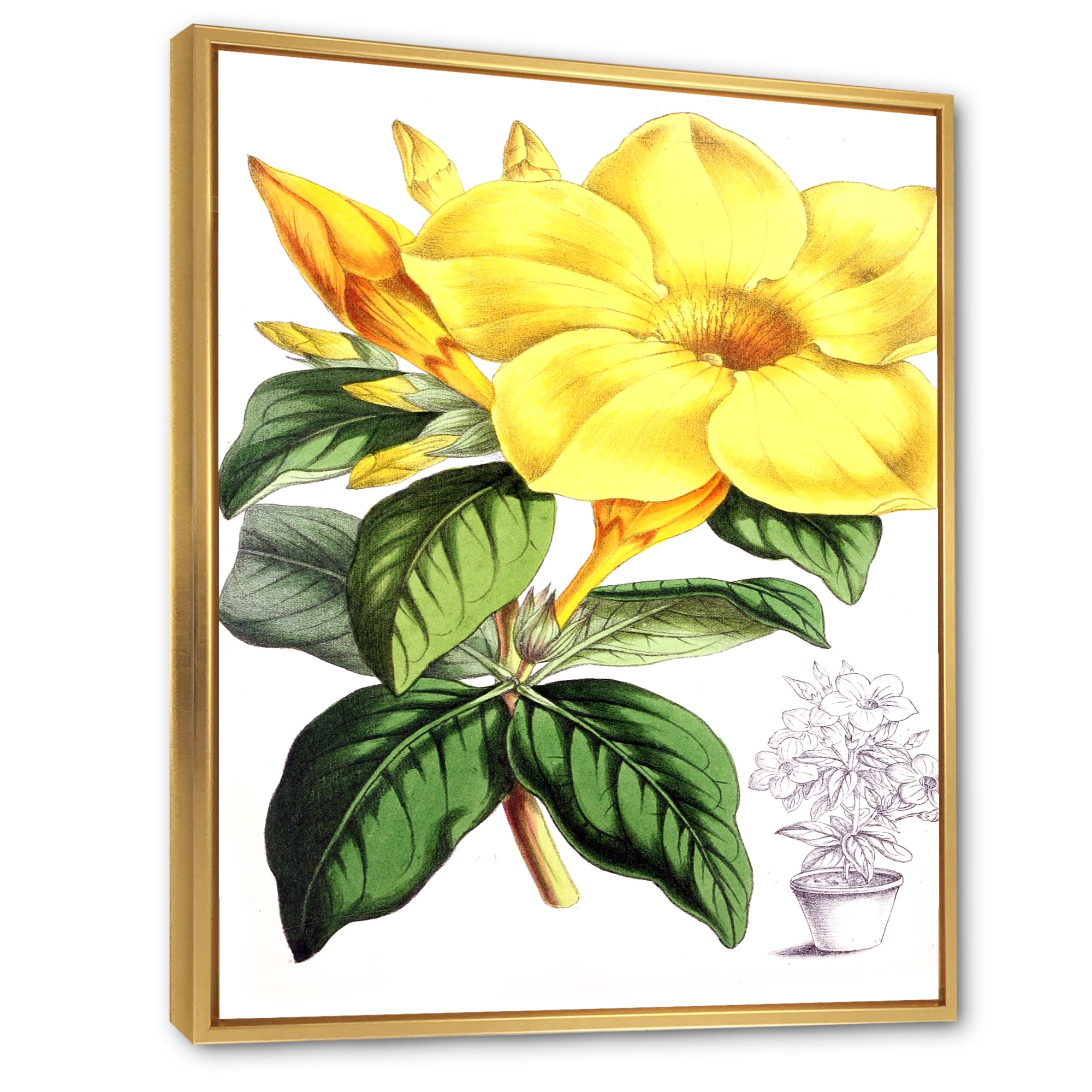 Designart 'Green Leaves With Tropical Yellow Flowers II' Traditional Framed Canvas Wall Art Print