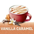 Nestle Coffee Mate Vanilla Caramel SugarFree Powdered Coffee Creamer