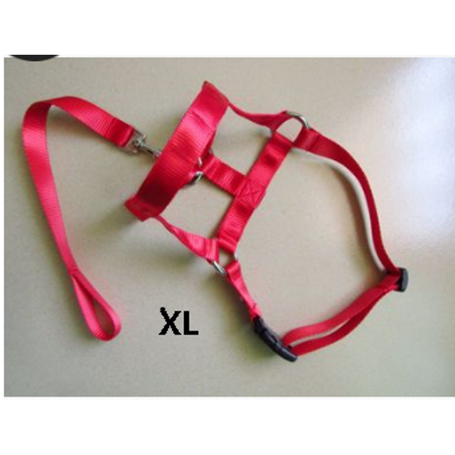 Faithtur Dogs Mouth Rope Gentle Halter Leash Leader Pet Mouth Traction Set Adjustable Head Collar Pet Accessories