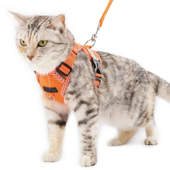 Cat Harness and Leash Escape Proof Extra Large Kitten Harness Maine Coon Cat Vest for Walking Travel, Dark Green, XL