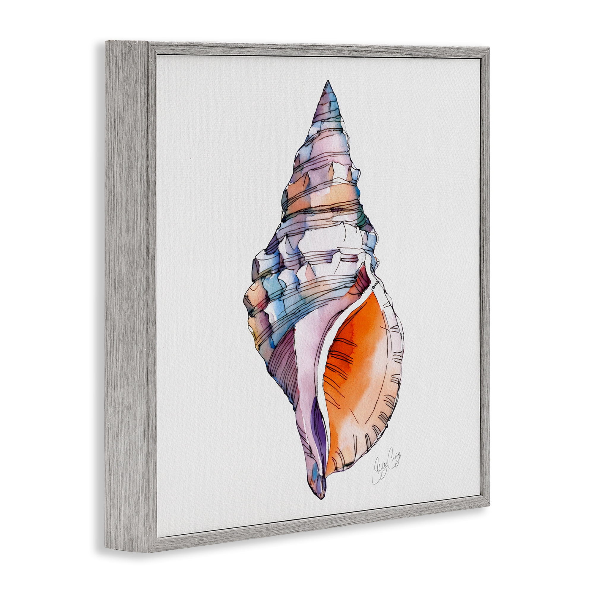 Stupell Industries Sunrise Conch Shell Gray Framed Giclee Art, design by Shelly Craig