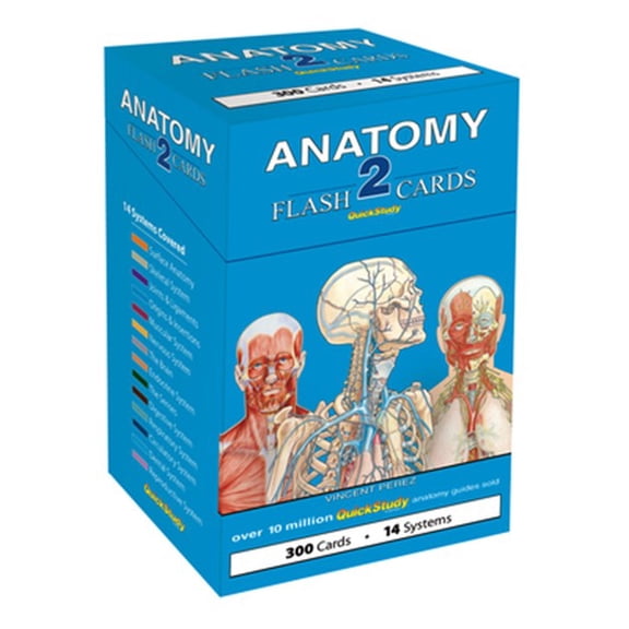 Pre-Owned Anatomy 2 Flash Cards: a QuickStudy reference tool Paperback