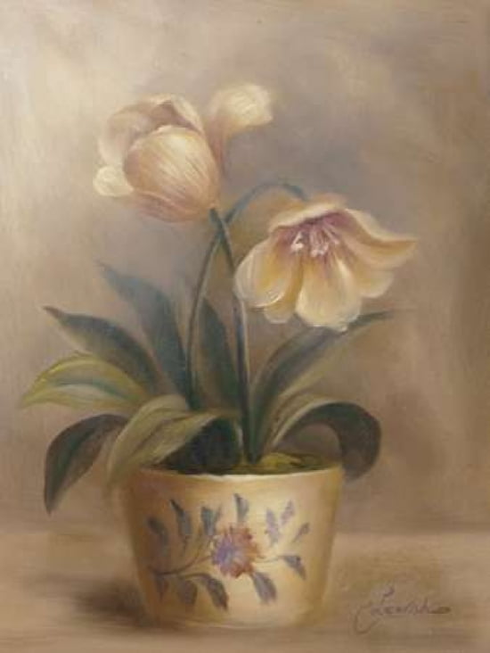 Olivias Flowers Ii