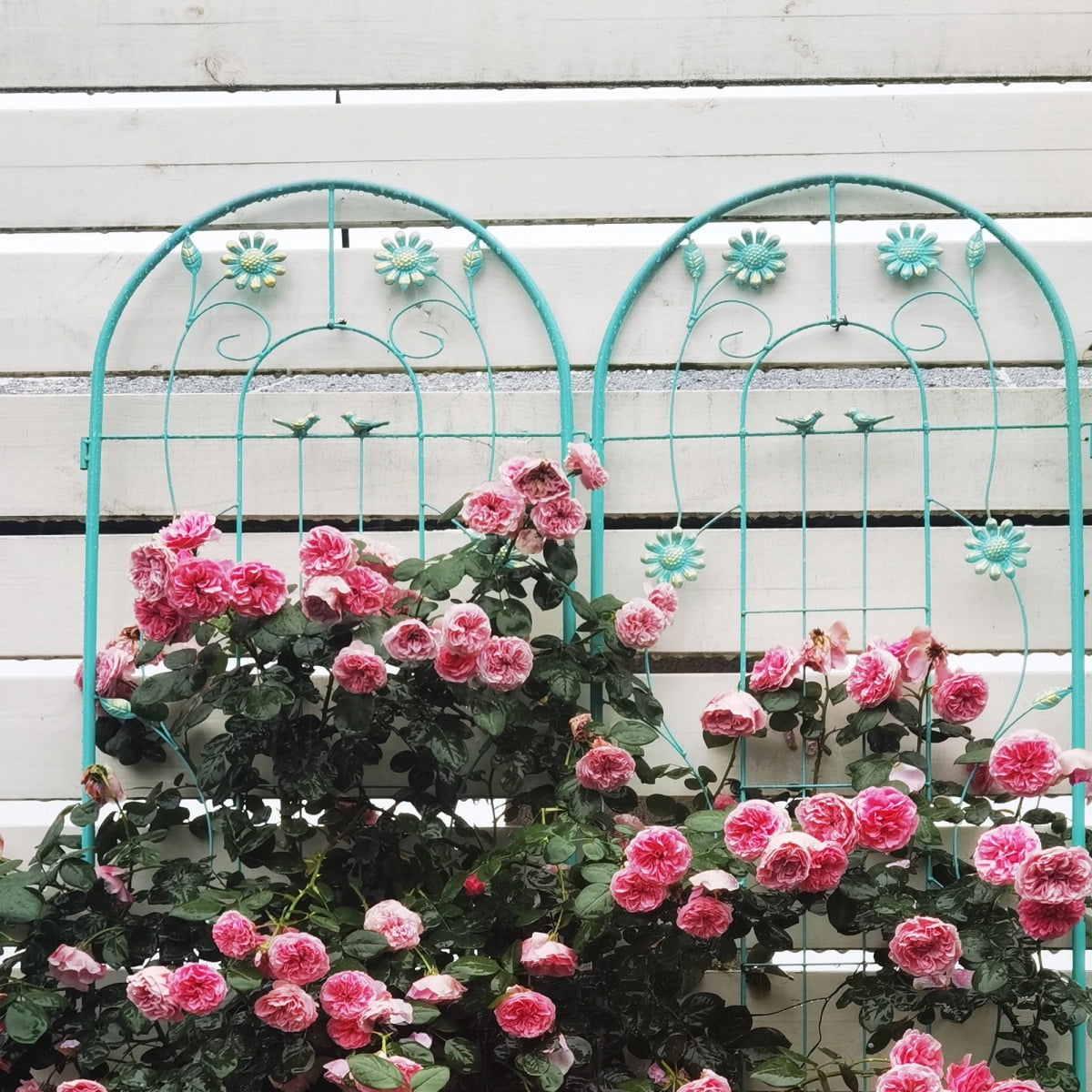 2 Pack Metal Garden Trellis 71 x 19.7 Rustproof Plant Trellis for Climbing Plants Outdoor Vertical Flower Vine Support for Roses Cucumber Clematis Green