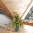 thumbnail image 3 of Árbol de Navidad Vickerman 24" Pino Cashmere con luces LED blancas cálidas, 3 of 3