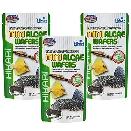 Hikari Mini Algae Wafers Fish Food, 3 Oz