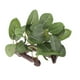 thumbnail image 1 of Plantas Plantas Artificiales Plantas Acuáticas Plantas Decorativas para Acuario Terrario Zulema  Plantas de agua de vivero de reptiles, 1 of 8