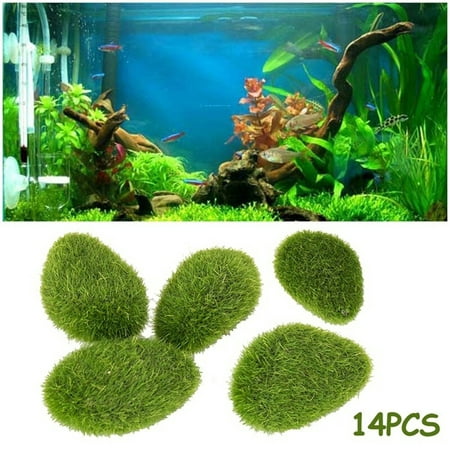 14pcs Moss Balls Cladophora Live Aquarium Plant Fish Tank