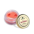 thumbnail image 1 of Organic Netra Premium Lip Butter | Moistures Lips | Lips Mask for All Occasions | Perfect for Everyone | Enriched with Organic and Natural Ingredients -8g, 1 of 5