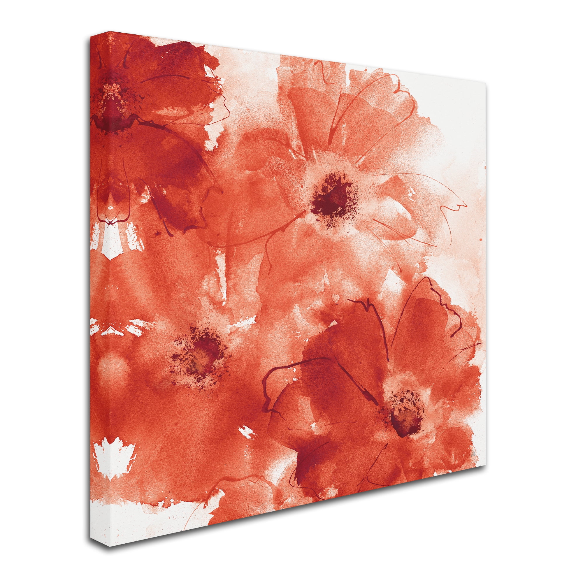Trademark Fine Art 'Seashell Cosmos II Red and Orange' Canvas Art by Chris Paschke