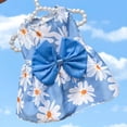 thumbnail image 1 of Xiao Hua Vestido para cachorro, bonito vestido de princesa para gato, falda para perritas pequeñas (azul, L), 1 of 4