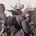 thumbnail image 4 of SPRING PARK Artificial Greenery Stems Eucalyptus Leaf Spray Elegant Faux Silk Flower Plants Floral for Home Party Wedding Decoration, 4 of 4