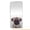 Pug Face, variant on Phone Case for Samsung Galaxy S26 Ultra, with Screen Protector, by OneToughShield - Poppy Field