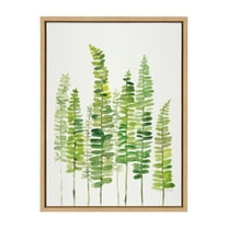 Kate and Laurel Sylvie Sword Ferns Framed Canvas Wall Art by Patricia Shaw 18x24 Natural Nature Themed Art for Wall