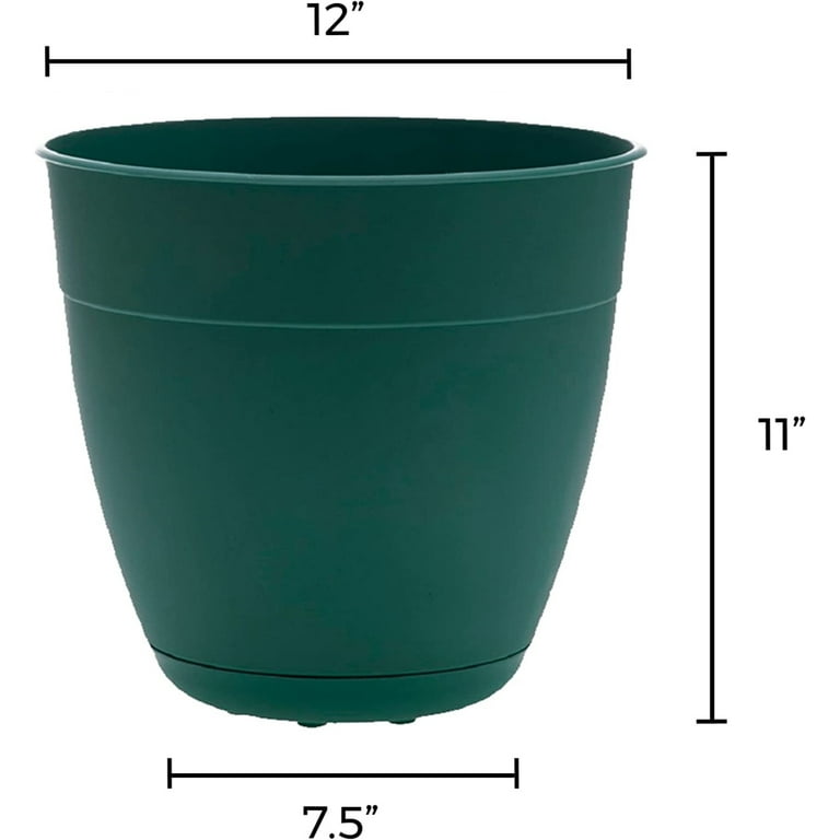 Bloem Dayton 7.5 in. H X 8 in. D Plastic Ocean Series Planter Turtle Green Bloem Dayton 7.5 in. H X 8 in. D Plastic Ocean Series Planter Turtle Green