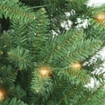 thumbnail image 5 of 7 ft Pre-Lit Carson Artificial Pine Tree, 5 of 7