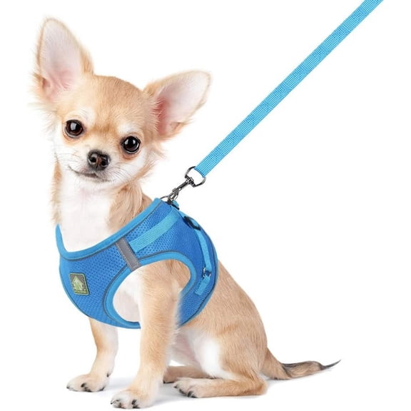 Soft Mesh Dog Harness and Leash Set,No Escape Puppy Harnesses for Training Walking, Reflective Adjustable Puppy Vest for Small Medium Dogs, Cats