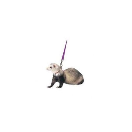 Marshall Pet Products Ferret Harness; Lead, Assorted Colors