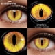 thumbnail image 3 of EYESHARE Lentes De Contacto De Ojos De Color Negro 2 Pzs Halloween Anime Anual De Belleza, 3 of 3