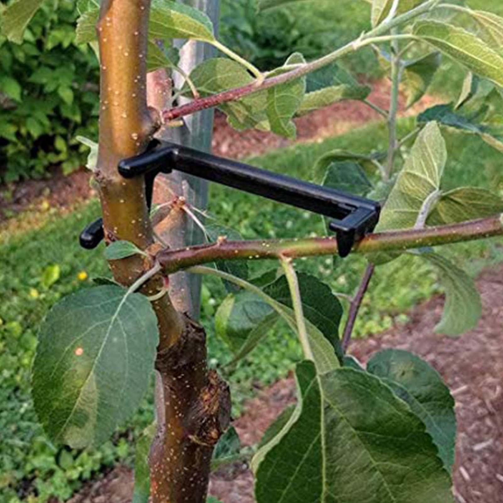 10Pcs Tree Branch Support Frame For Yard Fruit Tree Branches Fixe Fruit