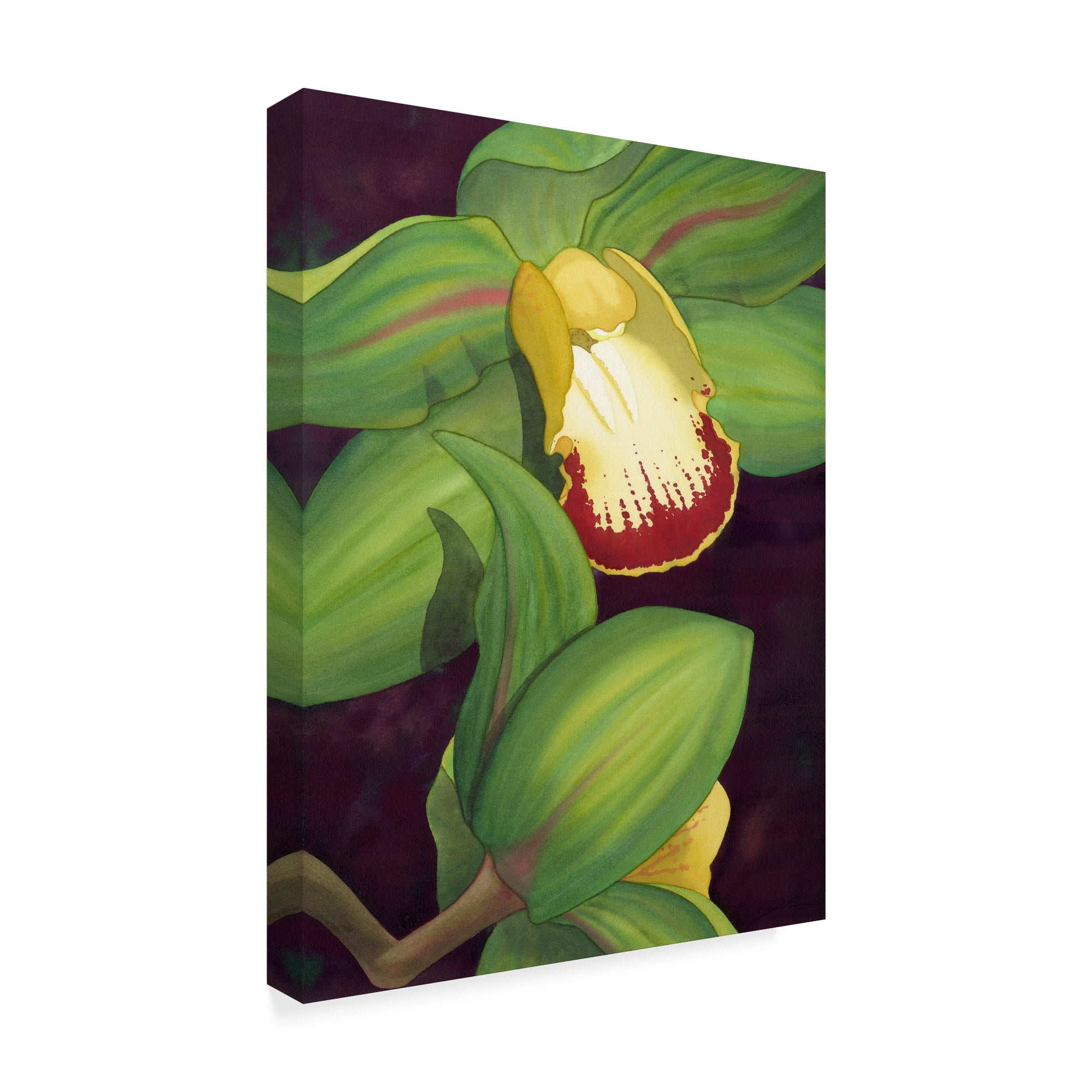 Trademark Fine Art Floral Canvas Art ' Lime Orchid Ii ' by Jason Higby
