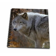 3dRose New Jersey, Columbia, Lakota Wolf Preserve. Close-up of timber wolf. - Mini Notepad, 4 by 4-inch
