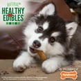 thumbnail image 5 of Nylabone Healthy Edibles All-Natural Long Lasting Puppy Chew Treats Lamb & Apple Small (3 Count), 5 of 12