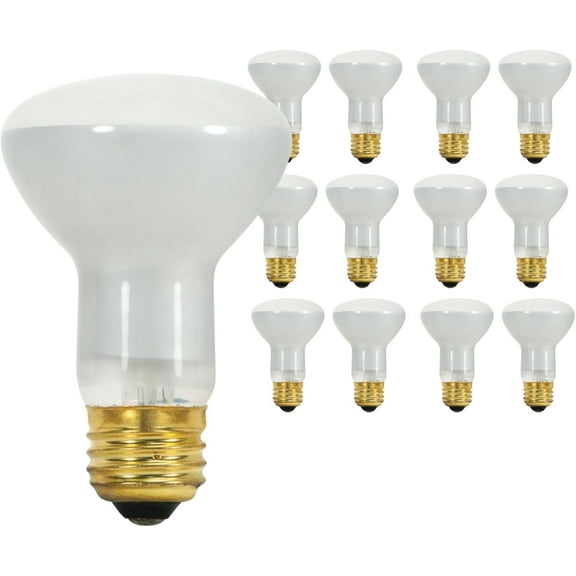 Satco S8519 R20 Incandescent Reflector Light Bulb 45W 130V 2700K E26 Medium Base Dimmable Frosted  (12 Pack)