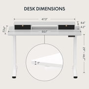 FlexiSpot 55x24 Electric Standing Desk with One-Piece Desktop, 2 Removable Drawers, Headphone Hook, 4 Height Memory Presets, 250lbs Capacity Ergonomic Sit Stand Desk with Monitor Stand