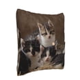 thumbnail image 2 of Bingfone Cat Family Linen Throw Pillow Covers Cushion Case Pocket Button Vintage Farmhouse Pillowcase for Sofa Couch Bed 16"x16", 2 of 9