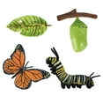 thumbnail image 2 of Juego de crecimiento de insectos para niños Zulema Educación infantil Aprendizaje Enseñanza, 2 of 8