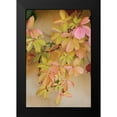 thumbnail image 2 of Vitaly, Geyman 11x14 Black Modern Framed Museum Art Print Titled - Vine Leaf Romance II, 2 of 5