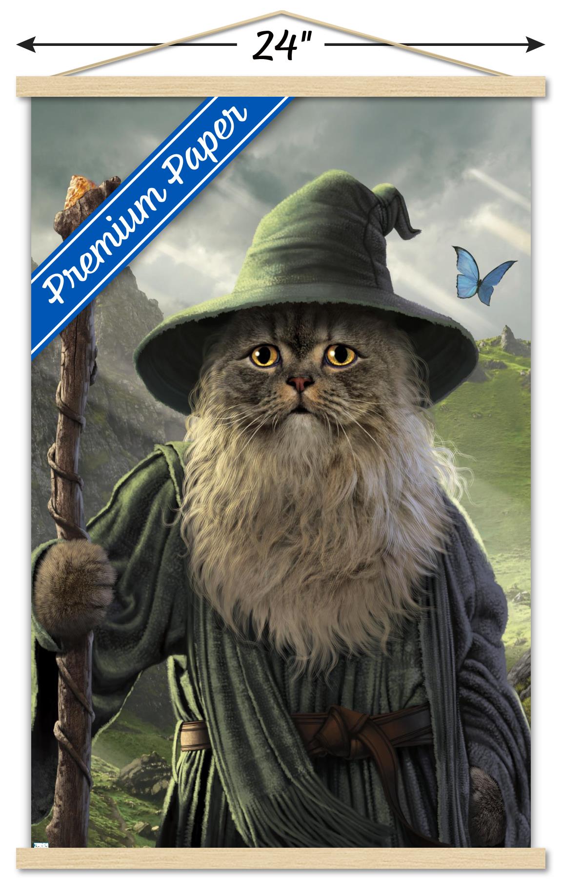 Vincent Hie - Catdalf Wall Poster with Wooden Magnetic Frame, 22.375" x 34"