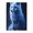 500 Pieces, variant on 1000-Piece Wooden Jigsaw Puzzle for Adults - Glowing White Blue Arctic Foxes , Interlocking Pieces with Guide Letters, Holiday Gift & Home Decor