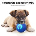 thumbnail image 4 of Bouncing Ball Dog Toy, Shaky Ball Toy For Dogs, Automatic Moving Dog Toy Ball, 4 of 5