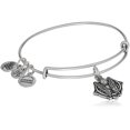 thumbnail image 2 of Alex and Ani Godspeed II Bangle Bracelet, Rafaelian Silver, Expandable, 2 of 2