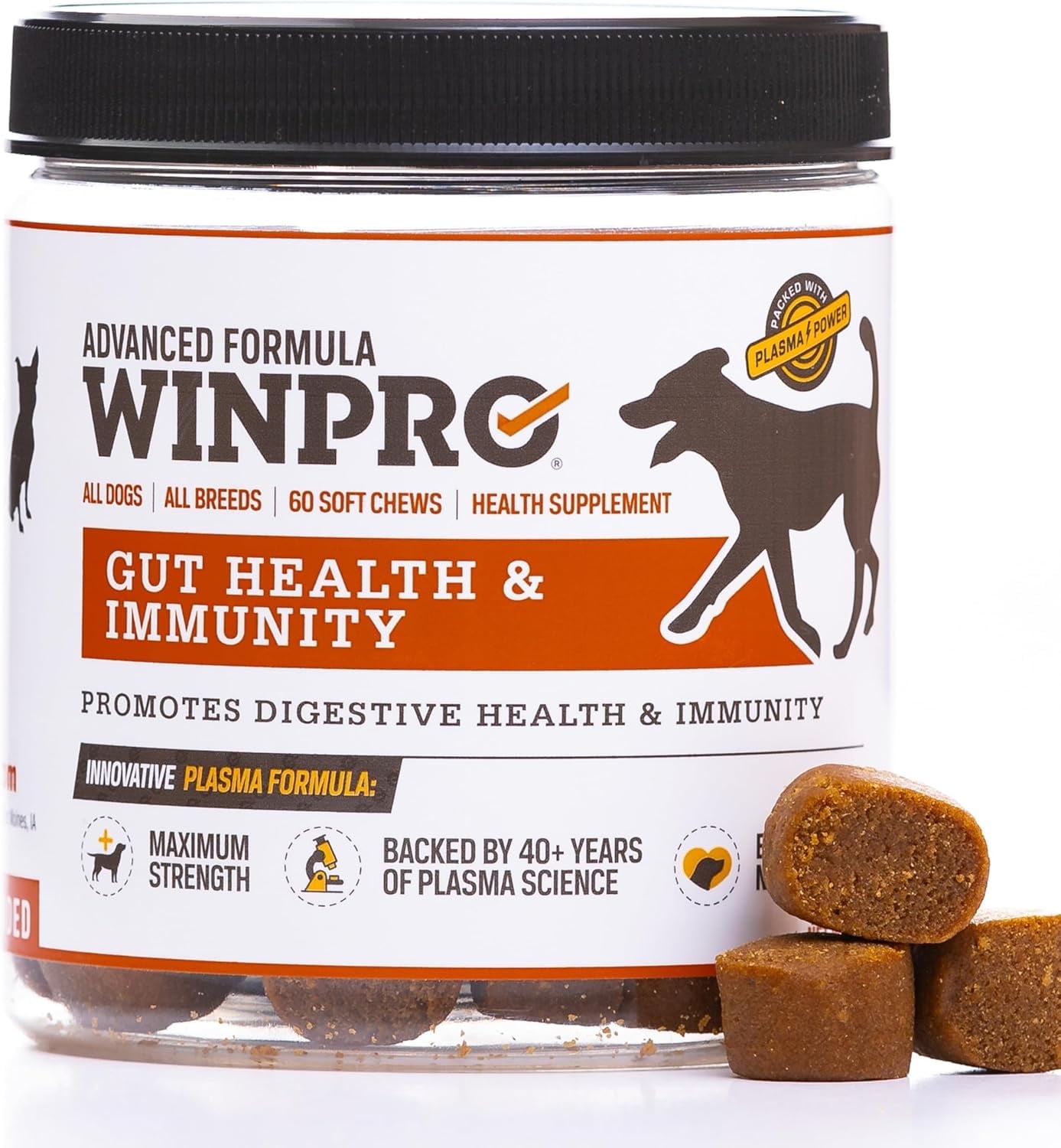 Life Extension Dog Mix, dog vitamins and supplements, probiotics, L-carnitine, B12, folic acid, vitamin C, vitamin E, rosemary, nutrient absorption, 