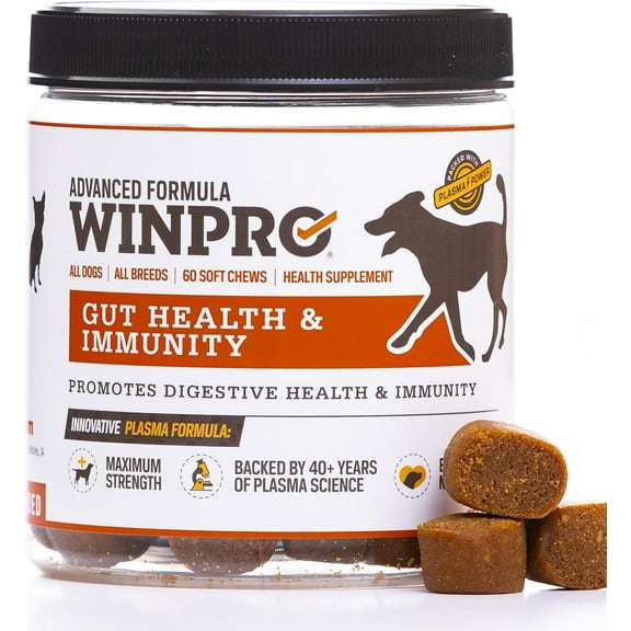 WINPRO Dog Gut Health Supplement – Plasma-Powered Soft Chews for Dog Immune Health Support & Gut Health, Made with Natural Ingredients for Dogs of All Breeds & Sizes - 60 Count