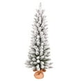 thumbnail image 1 of Vickerman 4' x 19" Flocked Norris Pine Artificial Christmas Tree, Unlit, 1 of 2