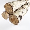 thumbnail image 7 of Hampton Art Floral Arranging Brown Wood Logs Tied with Jute Craft Material, 7 of 7