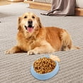 thumbnail image 5 of Dog/Cat Slow Food Bowl - Plastic Material, Raised Pattern, Non-Slip Rubber Bottom, Detachable, Prevents Overeating & Indigestion, 5 of 5