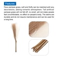 thumbnail image 4 of Uxcell 20Pcs Faux Pampas Grass 21.65" Fake Pampas Grass Decor Brown/Cream, 4 of 7