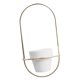 thumbnail image 1 of Wall Plant Flower Pot Holder Florero Colgante Interior Para Plantas Suculentas - Estilo04, tal se describe Estilo01 BLESIY maceta de hierro colgante, 1 of 8