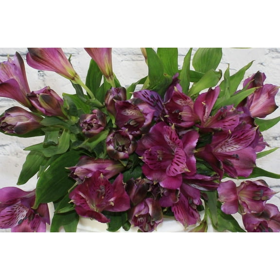 Real Touch Flowers - Fresh & Natural Alstroemeria Purple - 1 Bunch (10 Stems)
