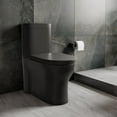 thumbnail image 2 of Monaco One-Piece Elongated Toilet Dual-Flush, Matte Black 1.1/1.6 gpf, 2 of 13