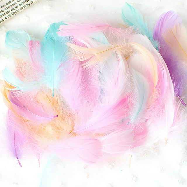 50 Set Natural Colourful DIY Feather Craft Toy for Kids - Manual Decoration Material for Animal Crafts