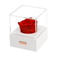 thumbnail image 3 of Flores eternas LED, lámpara de escritorio de flores preservadas, luz nocturna para el día de San Valentín Rojo Yuyangstore Luces de flores preservadas, 3 of 8