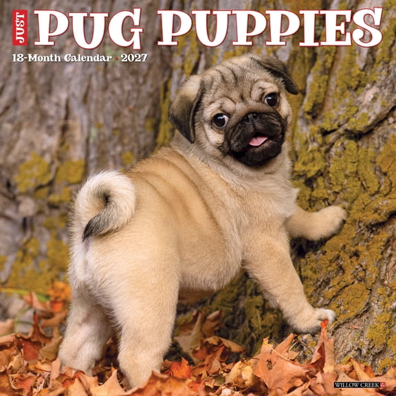 Willow Creek Press, Pug Puppies 2027 Wall Calendar