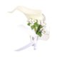 thumbnail image 1 of Boutonnierefor - Broche de lirio de cala de poliuretano para boda, fiesta de graduación, novia y novio, para boda, 60_x_180_cm, Poliuretano, 1 of 7